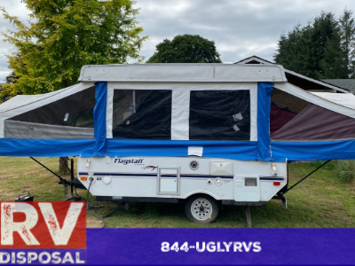 Washington Soft Camper Removal